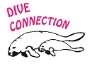 Dive Connection-Logo