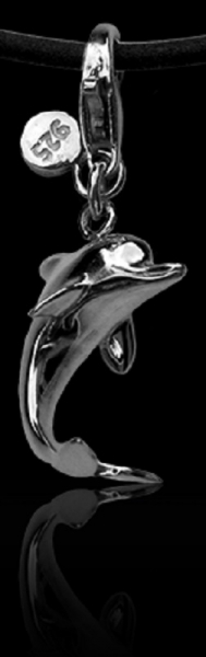 baruna silver dolphin