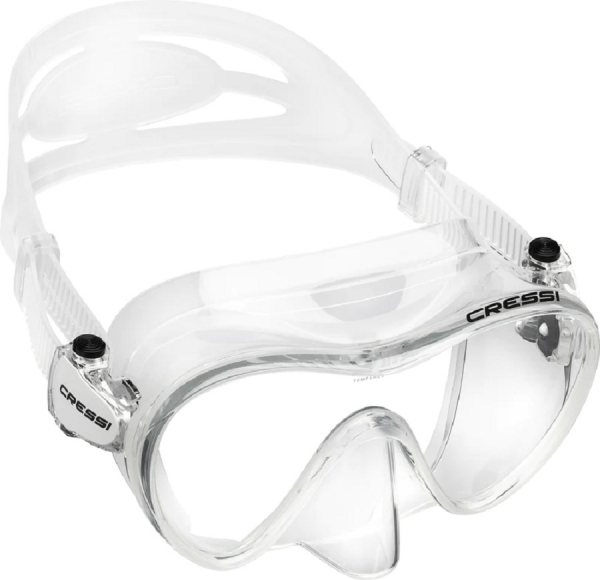 mask f1 clear/silver