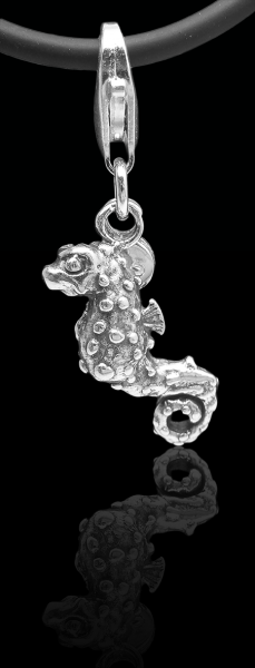 baruna silver pygmy seahorse
