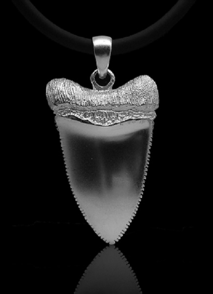 baruna silver white shark tooth