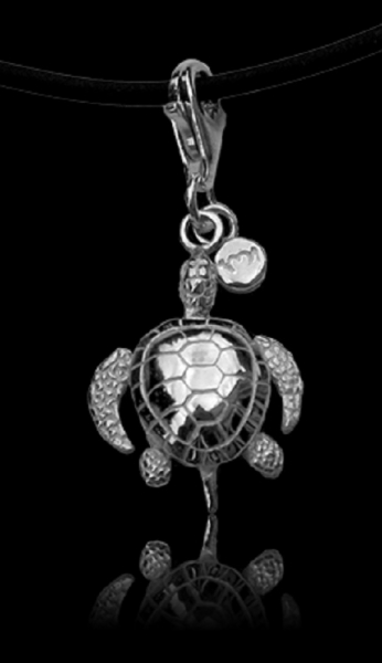Baruna Silver turtle